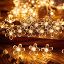 817o7K9yLGL._AC_SL1500_.webp