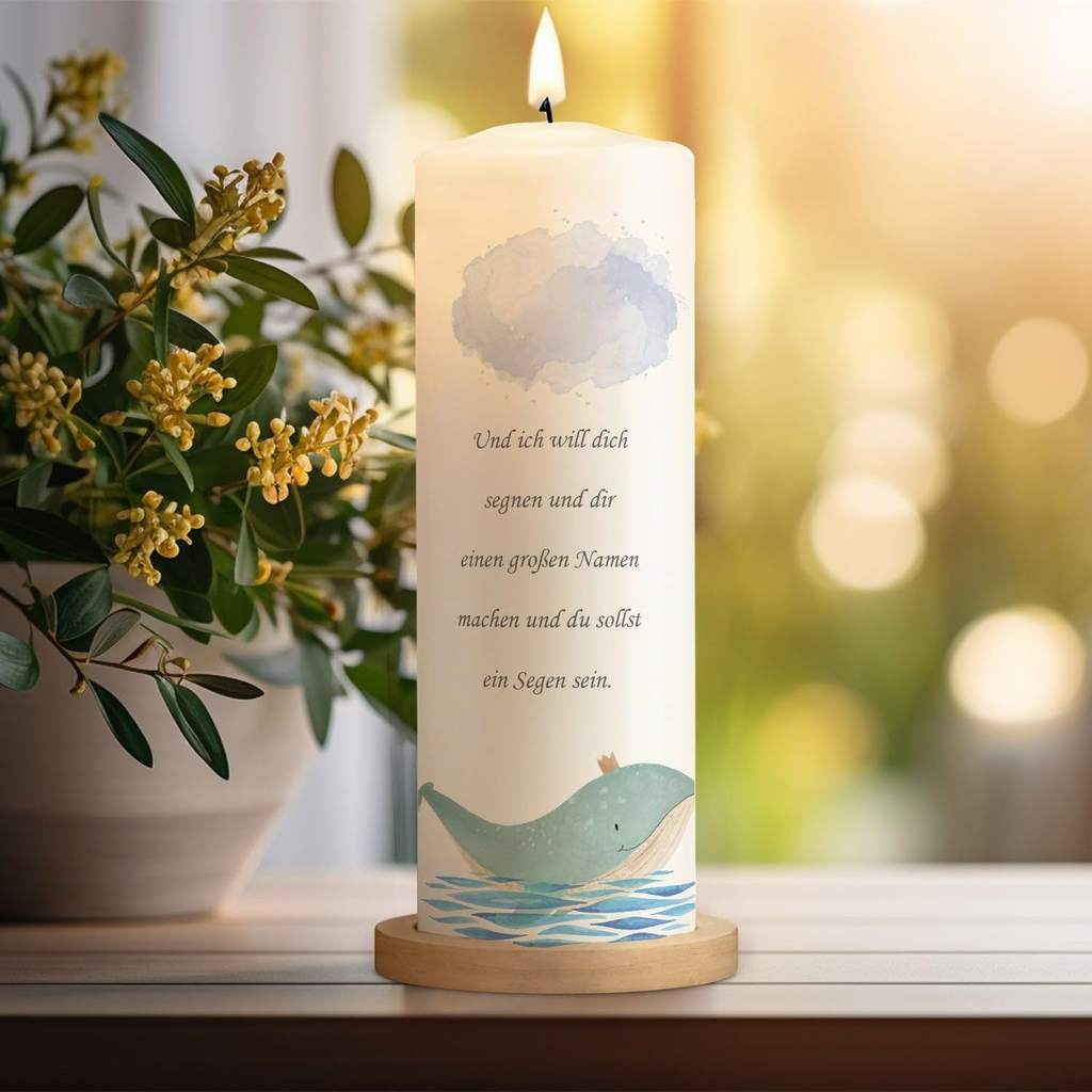 7110PU8R3jL._AC_SL1500_.webp