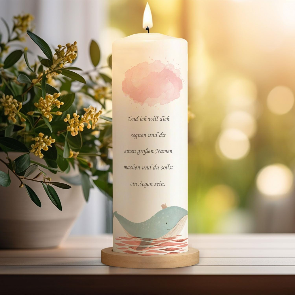 71754ZGC6rL._AC_SL1500_.webp