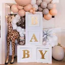 Baby Shower Box Decorations