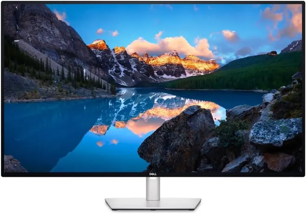 Dell Ecran 43" Monitor