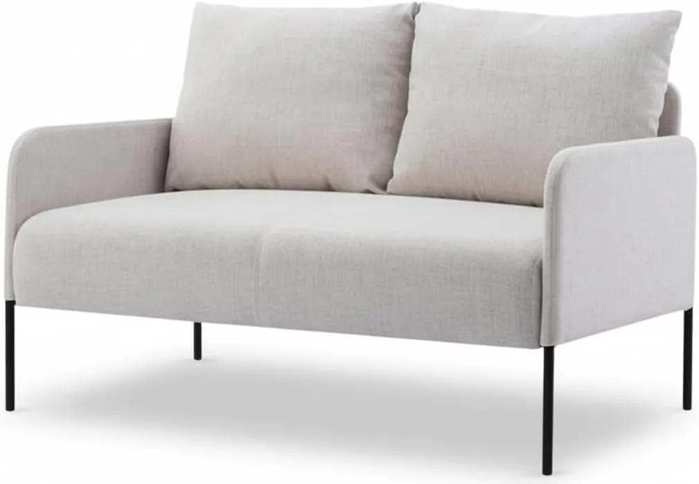 2 Sitzer Couch