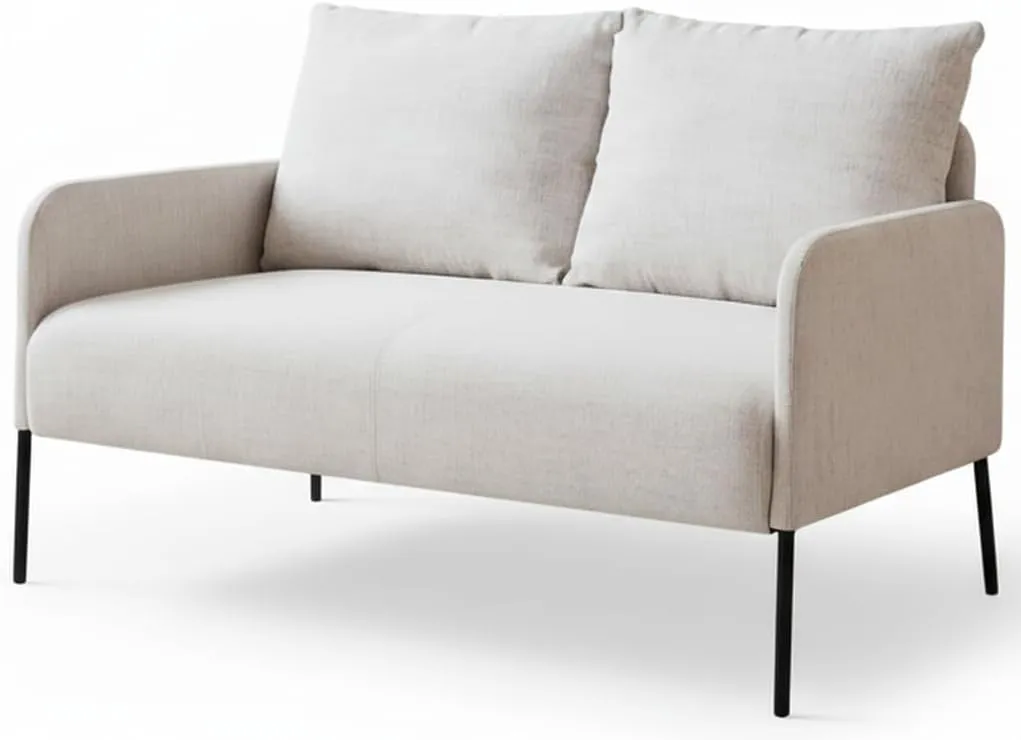 2 Sitzer Couch