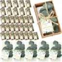 50 Mini Eukalyptus Seifen