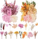 Trockenblumen