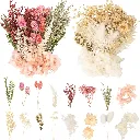 Trockenblumen