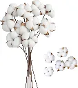 Trockenblumen