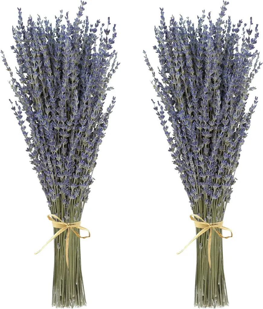 Getrockneter Lavendel